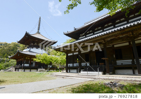 根来寺 大塔と大伝法堂 和歌山県岩出市 根来寺 大塔と大伝法堂 和歌山県岩出市 76927818