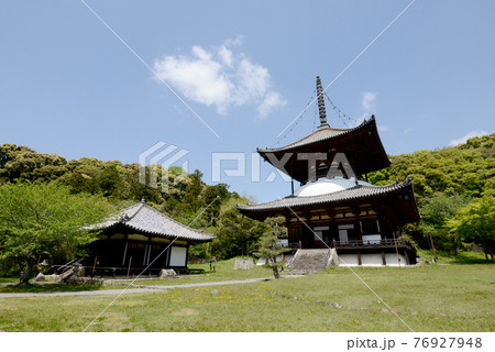 根来寺 大塔と大師堂 和歌山県岩出市 根来寺 大塔と大師堂 和歌山県岩出市 76927948