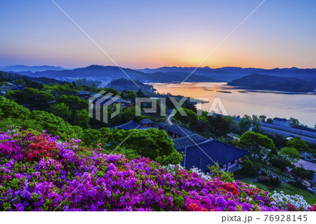 花 霧 日の出 76928145
