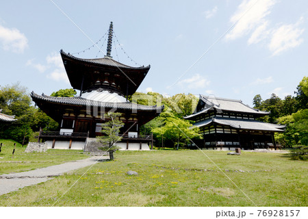 根来寺　大塔と大伝法堂　和歌山県岩出市 76928157