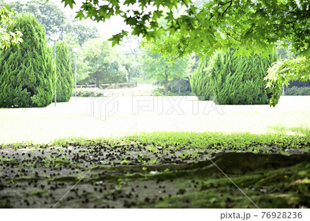 真夏の木曽三川公園 真夏の木曽三川公園 76928236