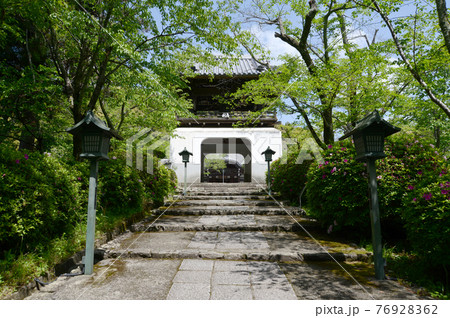根来寺　参道と鐘楼門　和歌山県岩出市 76928362