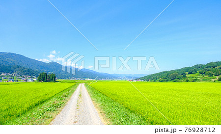 夏の田舎風景の写真素材