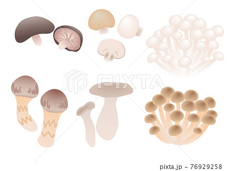 食べ物_きのこ1 食べ物_きのこ1 76929258