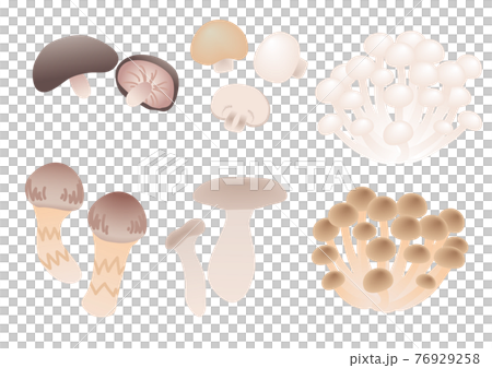 食べ物_きのこ1 食べ物_きのこ1 76929258