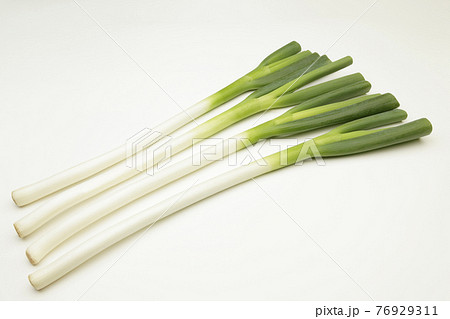 長ネギ 長ネギ 76929311