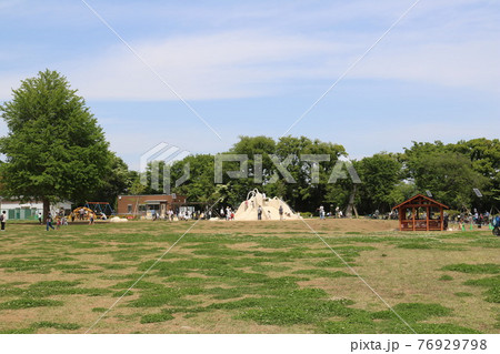 都立高井戸公園の遊具と木々 都立高井戸公園の遊具と木々 76929798