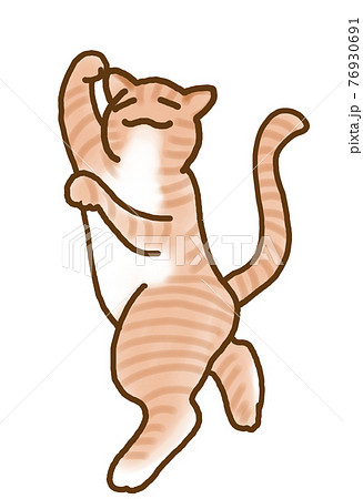 盆踊りをするねこのイラスト素材