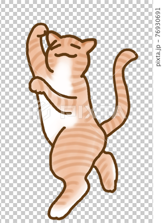 盆踊りをするねこのイラスト素材