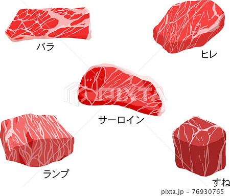 牛肉_部位名称_セット 76930765