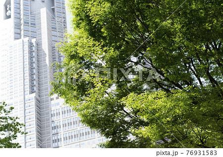 新緑と高層ビルの都市風景 76931583