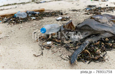 海岸に打ち上げられたウミガメの死骸 海洋ごみ問題 環境破壊イメージ 海岸に打ち上げられたウミガメの死骸 海洋ごみ問題 環境破壊イメージ 76931758