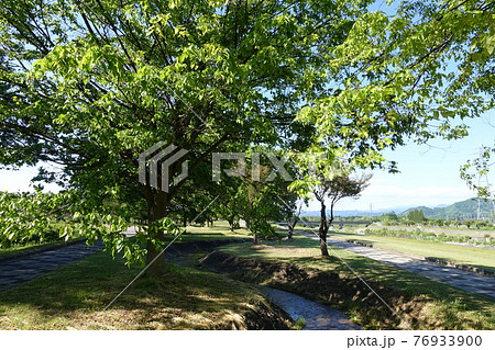 直江石提　直江堤公園　米沢市 76933900