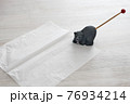 耳そうじ 76934214