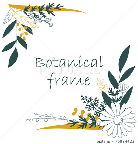 ボタニカルフレームイラスト 招待状やカードのテンプレート 白背景 ベクター 切り抜き のイラスト素材