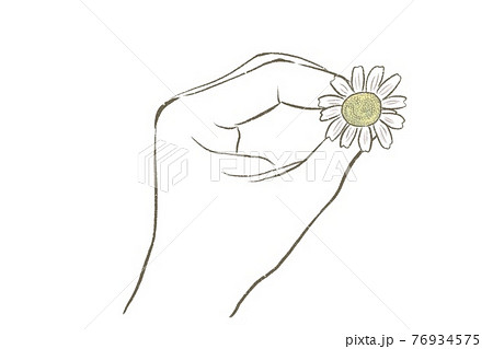 カモミールの花を手で持つシンプルな線画のイラスト素材