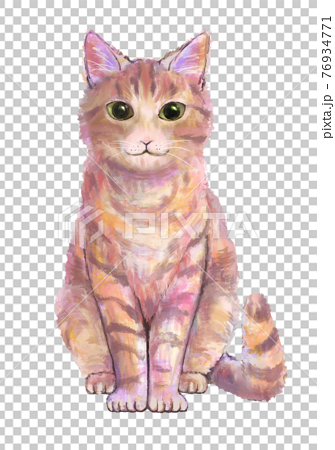 前足を揃えて座る猫の正面イラストのイラスト素材