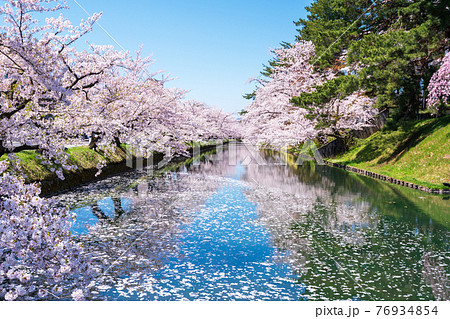 弘前公園　外濠 76934854