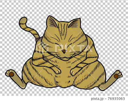 A stray cat that sits down 76935063