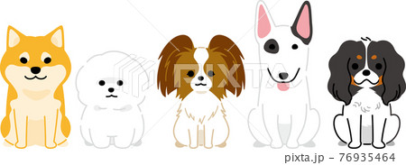 並んだ犬3 並んだ犬3 76935464