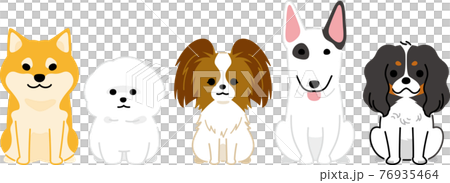 並んだ犬3 並んだ犬3 76935464