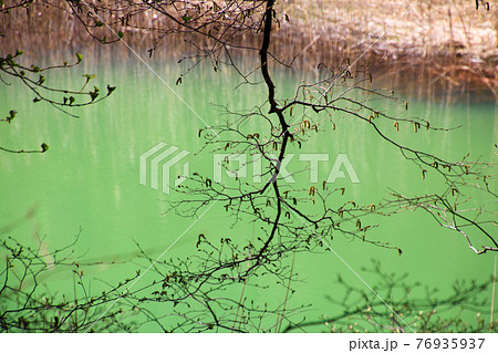 春の五色沼・みどろ沼（福島県・裏磐梯） 76935937