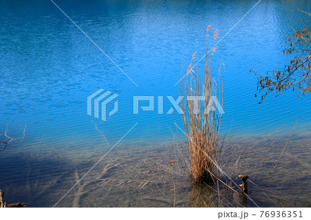 春の五色沼・弁天沼（福島県・裏磐梯） 76936351