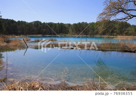 春の五色沼・弁天沼（福島県・裏磐梯） 76936355