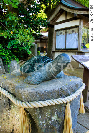 酒列磯前神社のなで亀 酒列磯前神社のなで亀 76937484