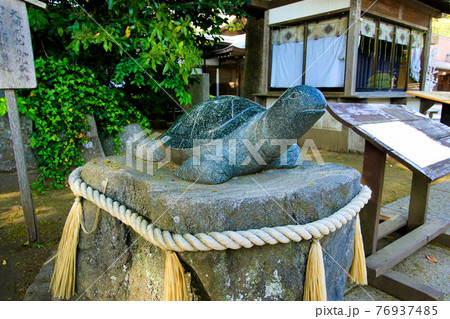 酒列磯前神社の亀石像 酒列磯前神社の亀石像 76937485
