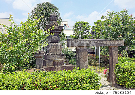 伝通院（文京） 76938154