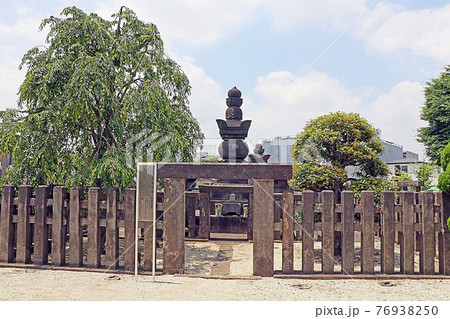 伝通院（文京） 76938250