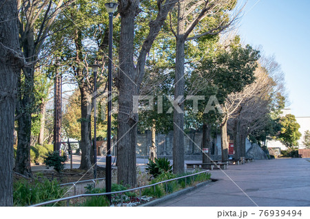 滝野川公園 ／北区西ヶ原 76939494