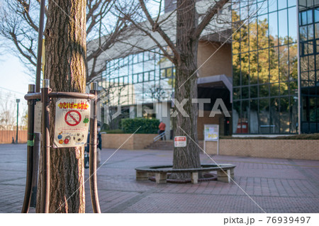 滝野川公園 /北区西ヶ原 滝野川公園 /北区西ヶ原 76939497