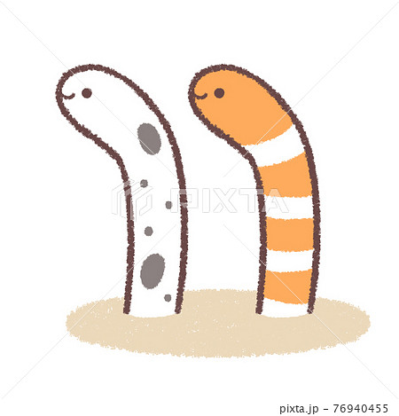 チンアナゴとニシキアナゴ チンアナゴとニシキアナゴ 76940455