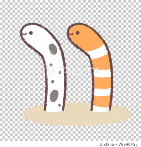 Garden eels and Japanese moray eels 76940455
