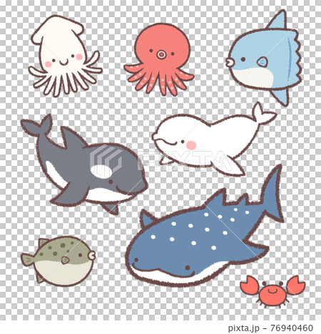 海の生き物セット 海の生き物セット 76940460