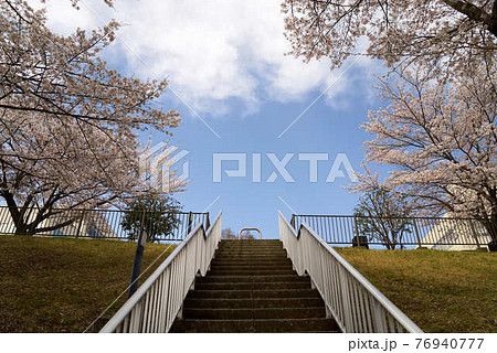 帝京大学宇都宮キャンパス　2021春 76940777