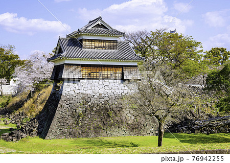 順調に復旧工事が進む熊本城  桜と戌亥櫓(2021年3月22日撮影) 順調に復旧工事が進む熊本城  桜と戌亥櫓(2021年3月22日撮影) 76942255
