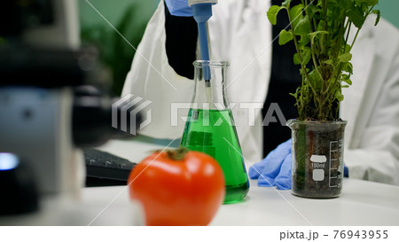 Closeup of botanist reseacher woman taking dna liquid test from medical glass with micropipette 76943955