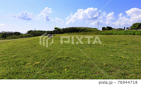 湘南三浦半島の最南端の神奈川県三浦市城ヶ島の春 76944718