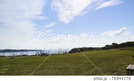 湘南三浦半島の最南端の神奈川県三浦市城ヶ島の春 76944770