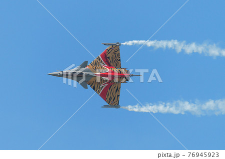 フランス空軍ラファールCタイガー塗装機のナイフエッジ 76945923
