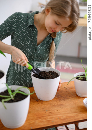 Girl transplanting plants at home in white pots Girl transplanting plants at home in white pots 76946331