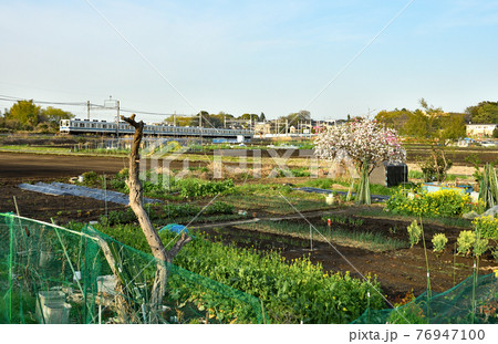 鉄道 私鉄:東武鉄道 野田線 8000系 鉄道 私鉄:東武鉄道 野田線 8000系 76947100