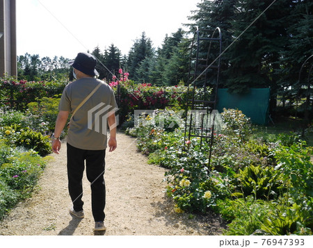 様々な植物や花が咲く庭を歩く男性(後ろ姿) 様々な植物や花が咲く庭を歩く男性(後ろ姿) 76947393