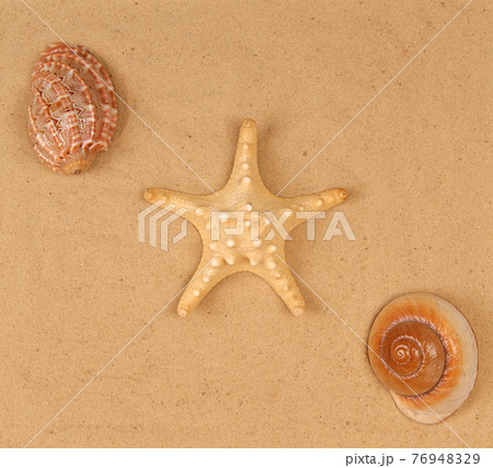 Large starfish and seashells on the sand, Studio shot Large starfish and seashells on the sand, Studio shot 76948329