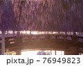 夕焼けと中山の大藤　福岡の自然 76949823