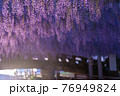 夕焼けと中山の大藤　福岡の自然 76949824