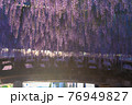 夕焼けと中山の大藤　福岡の自然 76949827